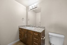 A bathroom with a sink, mirror, and toilet.