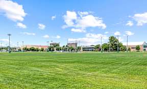 A large grassy field with a clear blue sky and some scattered clouds.
