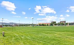 A large grassy field with a bench and floodlights.