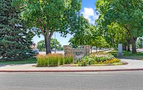 A sign that says Colorado in front of some trees.