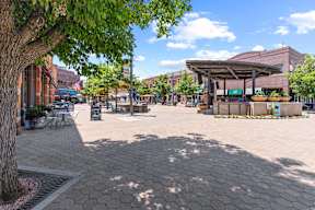 A sunny day at the plaza with a tree on the left.