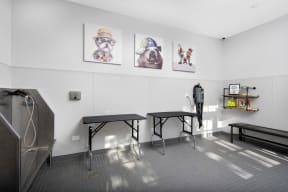 Pet spa with cleaning equipment