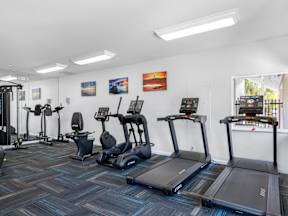 A gym with treadmills and exercise bikes.