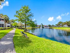 A park with a bench and a pond.
