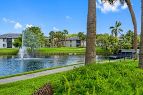 A serene lakeside scene with a fountain, palm trees, and a bench.