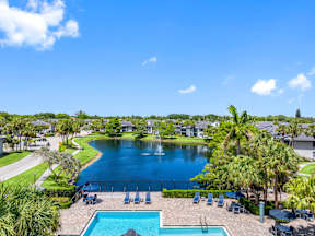 A swimming pool with a lake in the background and palm trees around.