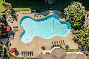 An aerial view of a swimming pool surrounded by trees and chairs.