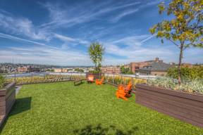 Rooftop with plants and seating