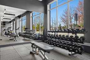 A gym with a row of dumbbells on the right and a bench in the middle.