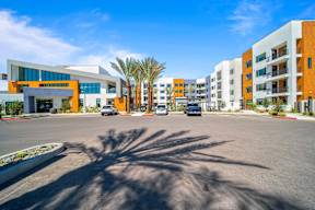 A sunny day at a parking lot with a building and palm trees in the background.