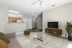 A living room with a grey couch, a glass coffee table, a television, and a plant.