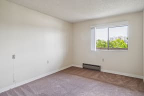 an empty living room with carpet and a window