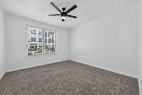 A room with a ceiling fan and carpeted floor.