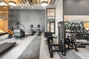 A gym with a variety of equipment including treadmills, stationary bikes, and weight machines.