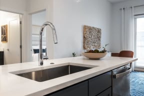 a kitchen with a sink and a chrome faucet
