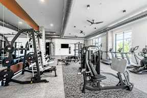 A spacious gym with a variety of equipment including a squat rack, bench press, and a treadmill.