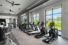 A gym with treadmills, elliptical machines, and a fan.