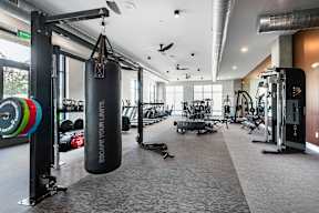 A gym with a punching bag that says "Escape Your Limits".