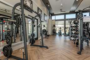 A gym with a variety of equipment including a squat rack, a bench press, and a barbell.
