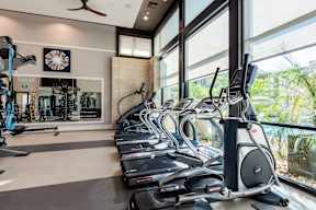 A gym with treadmills and exercise equipment.