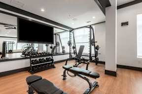 A gym with a variety of equipment including a bench press, a squat rack, and a flat screen TV mounted on the wall.