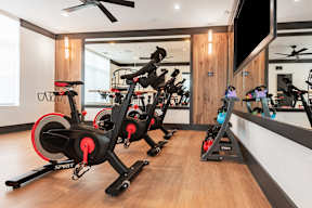 A gym with a row of stationary bikes.