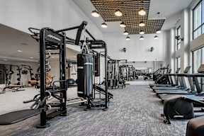 A gym with a variety of equipment including a squat rack, bench press, and a punching bag.