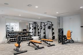 A gym with a variety of equipment including dumbbells, weight plates, and a bench.