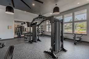 A gym with a variety of equipment including a squat rack, bench, and weights.
