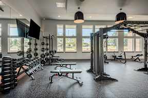 A gym with a variety of equipment including a squat rack, bench, and dumbbells.