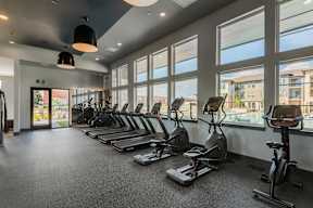 A gym with treadmills, exercise bikes, and a view of the outside.