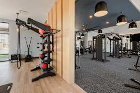 A gym with a variety of equipment including a weight rack, a rowing machine, and a treadmill.
