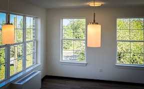 A room with two windows and a ceiling light.