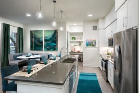 Kitchen Appliances at Durham Heights, Texas