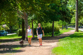 Lush Green Outdoors at Durham Heights, Houston