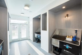 pet washing at Durham Heights, Texas