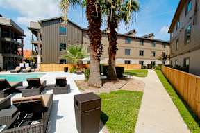 A palm tree stands in a courtyard with a pool and chairs.