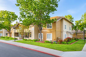 A row of houses with trees in front.