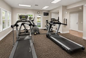 A spacious gym with treadmills and elliptical machines.