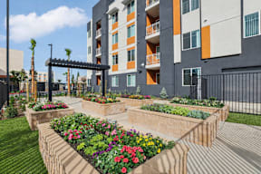 A modern building with a garden in front at The Orion Senior Apartments - Orange, CA Apartments, Orange, CA, 92866