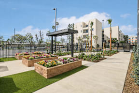 A walkway with a planter box and a black fence at The Orion Senior Apartments - Orange, CA Apartments, Orange, CA, 92866