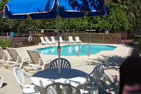 Terracina at Morgan Hill pool