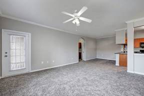 A room with a ceiling fan and a carpeted floor.