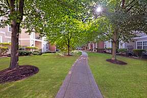 A tree-lined walkway in a park.
