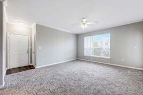 A room with a carpeted floor and a ceiling fan.