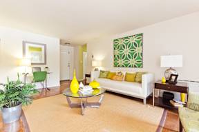A living room with a white couch and a green plant.