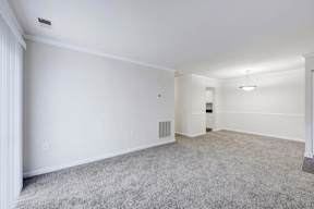 A spacious room with a grey carpet and white walls.