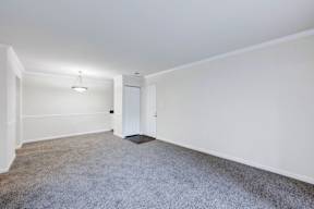 A room with a carpeted floor and a white door.