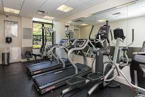 A gym with treadmills and elliptical machines.