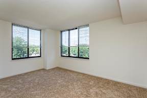 A room with two windows and carpeted floor.